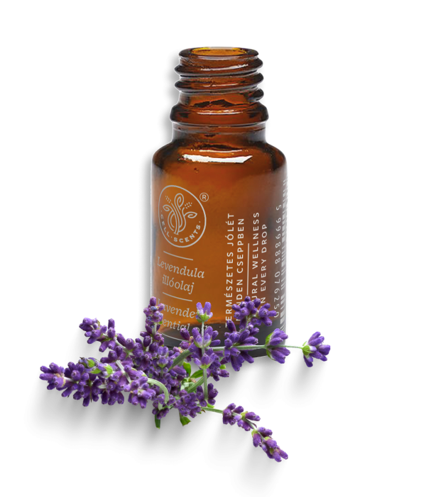 Sötét üvegcsés Cell-Scents levendula illóolaj (10ml) friss levendulavirágokkal körülvéve, a természetes ellazulás megteremtéséhez.