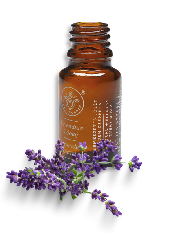 Sötét üvegcsés Cell-Scents levendula illóolaj (10ml) friss levendulavirágokkal körülvéve, a természetes ellazulás megteremtéséhez.